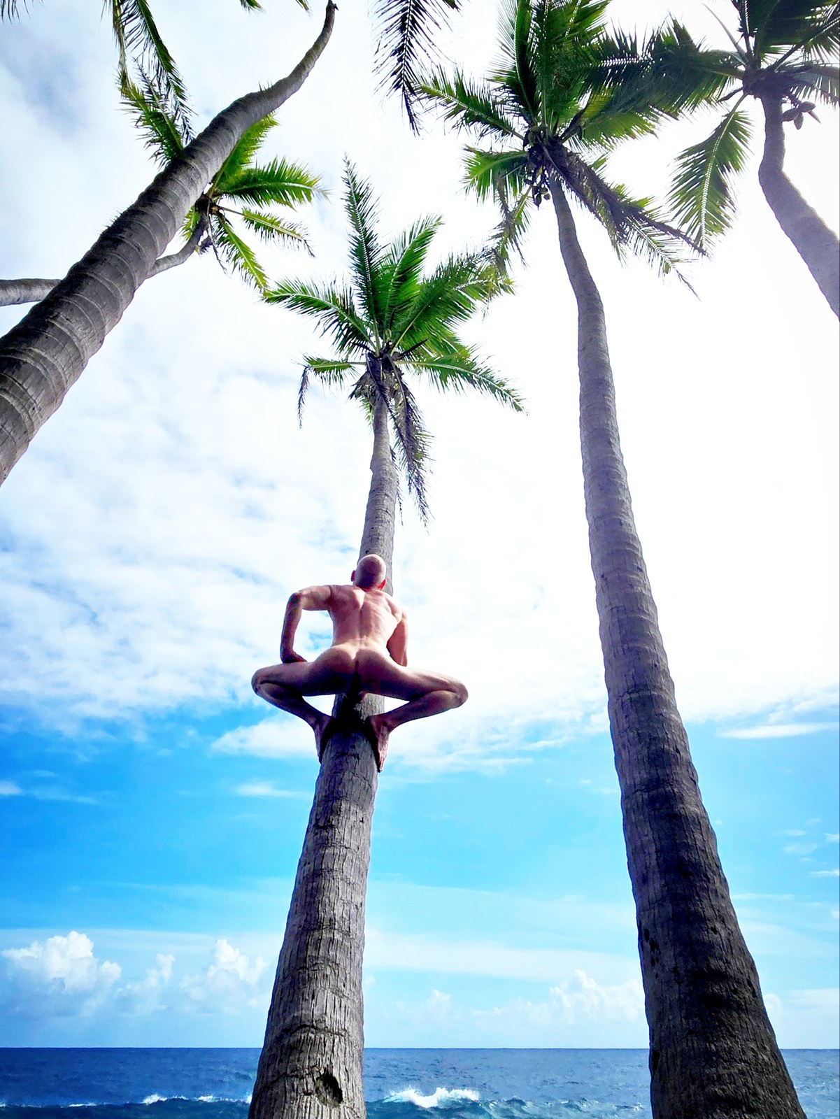 Yoga & Movement